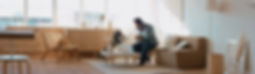A man Sitting at his couch with a laptop at a coffee table and a husky dog trying to get his attention 