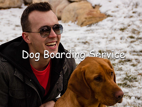 Dog-Boarding-Service-Backyard-DogCare-No