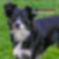 Site-Photo-1.jpg