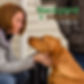 Site-Photo-8-Backyard-DogCare-North-Salt
