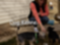 Dog-Kennel-Backyard-DogCare-North-Salt-L